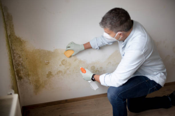 Forensic Mold Investigation in Kemp, TX