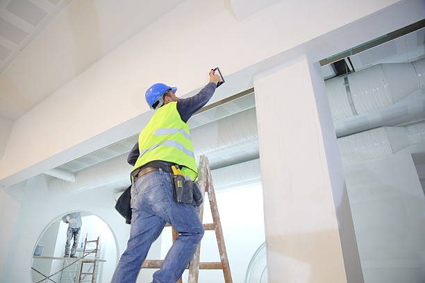 Best Environmental Consulting for Mold Prevention  in Kemp, TX